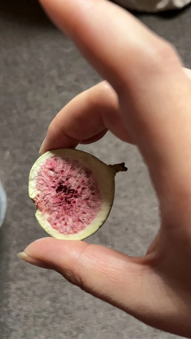 FD无花果脆干果开袋即食