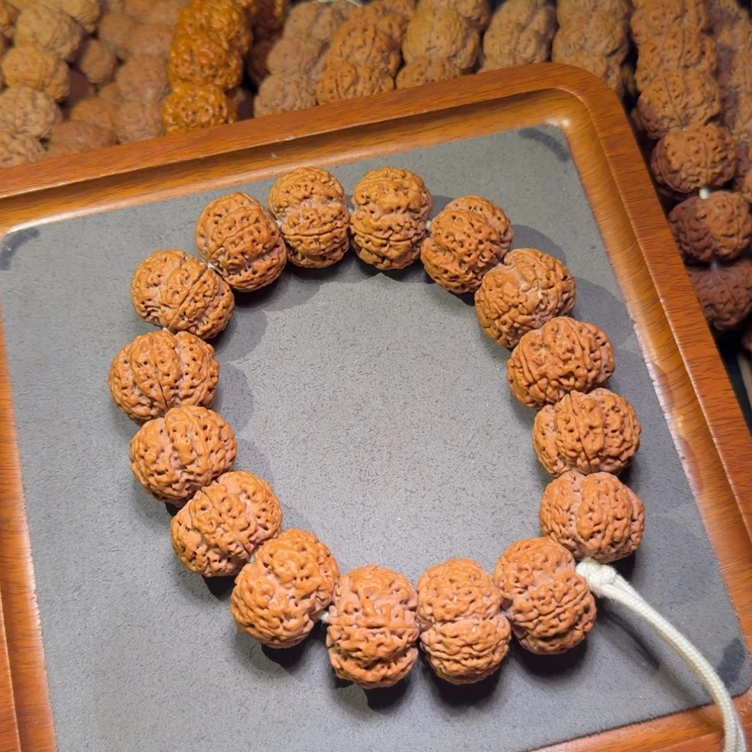 1号尼泊尔大金刚25五星粗筋梅花