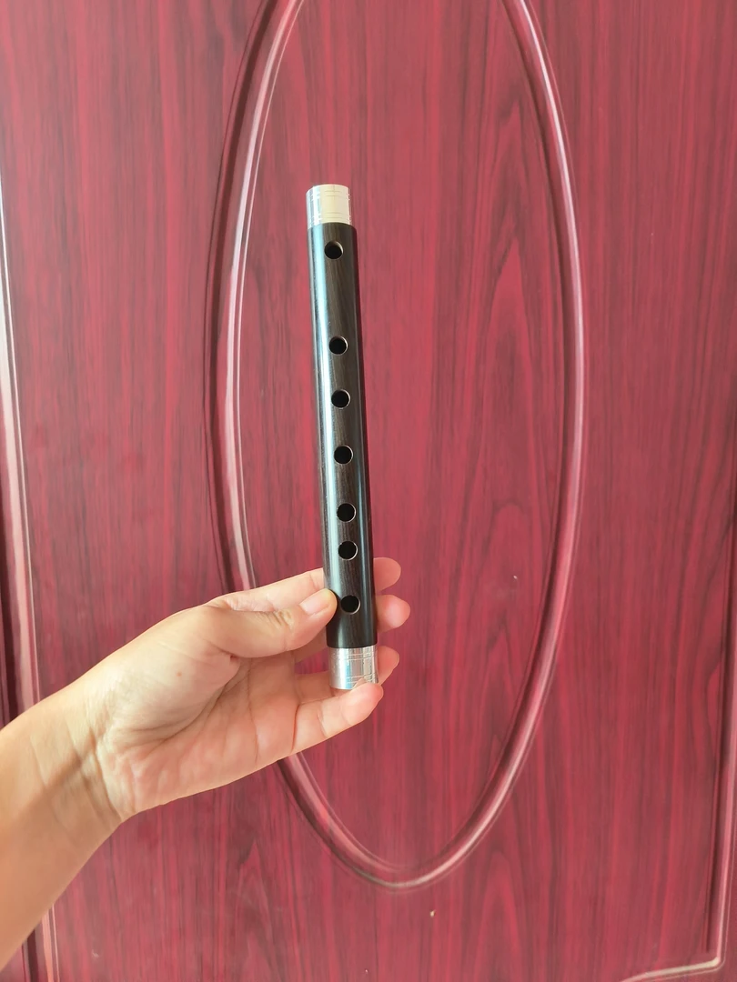 A调小管带俩哨带教学书带教学视频