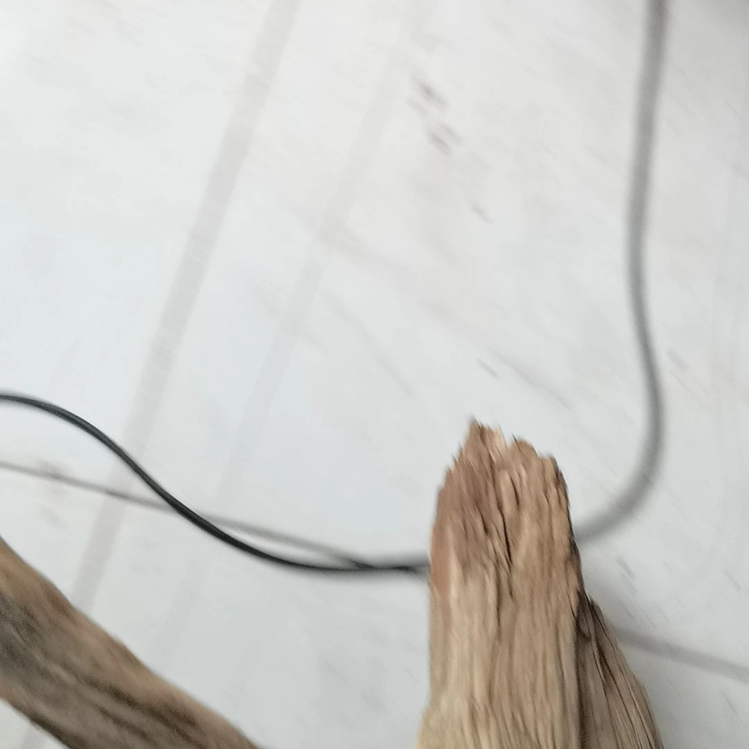 刘***敏柏木（崖柏）崖柏摆件，，，，