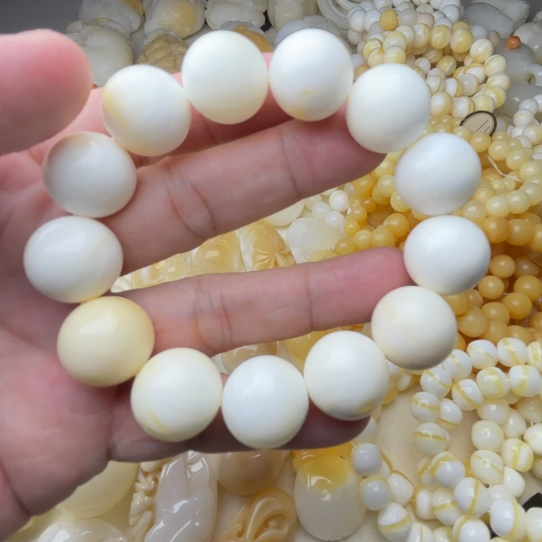 非金属贝壳隔****a天然贝壳