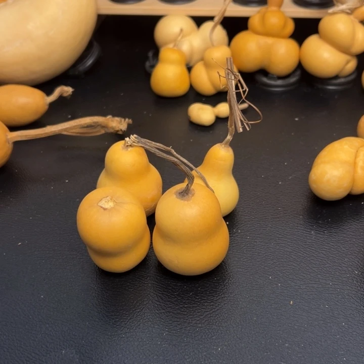 ?*?25555556699999666666