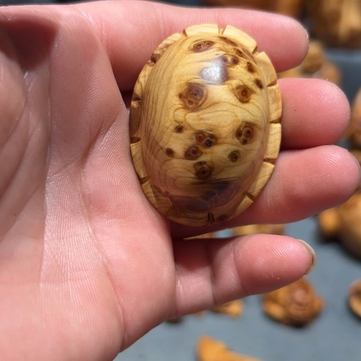 柏木（崖柏）点点关注，感谢分享