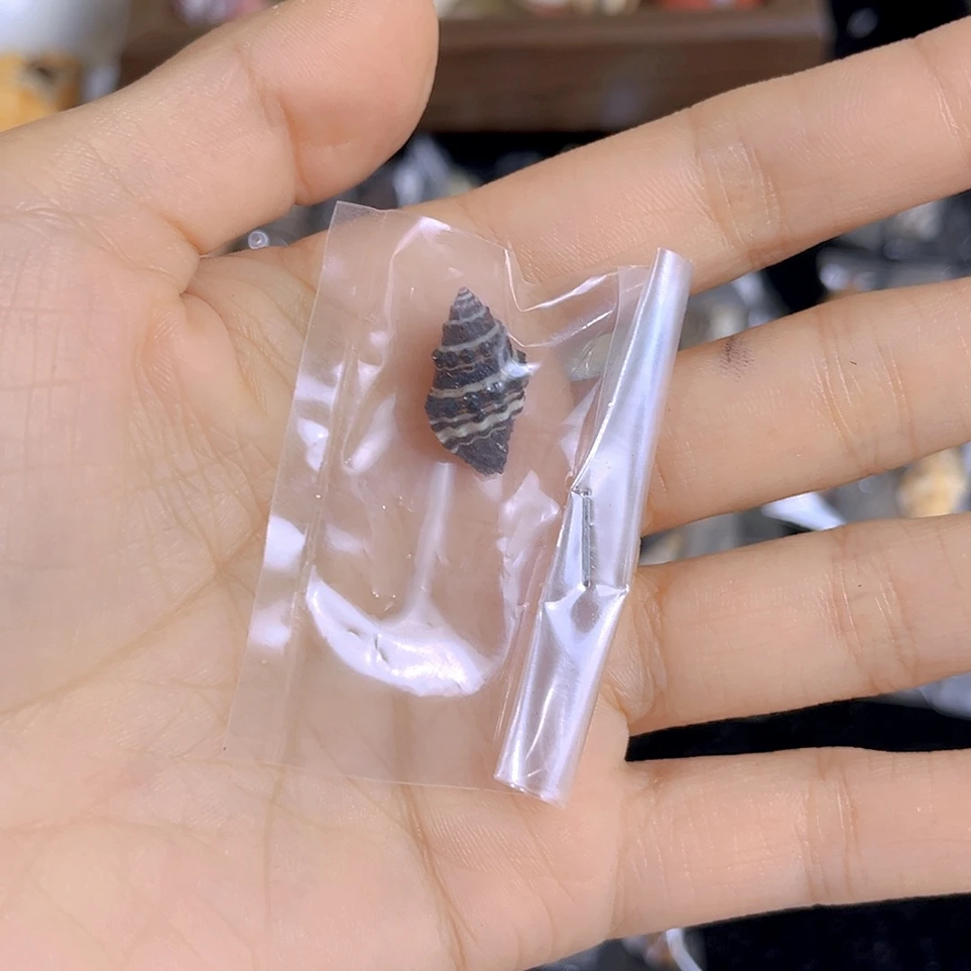 大理石磁石肖**་天然贝壳特价款不退不换
