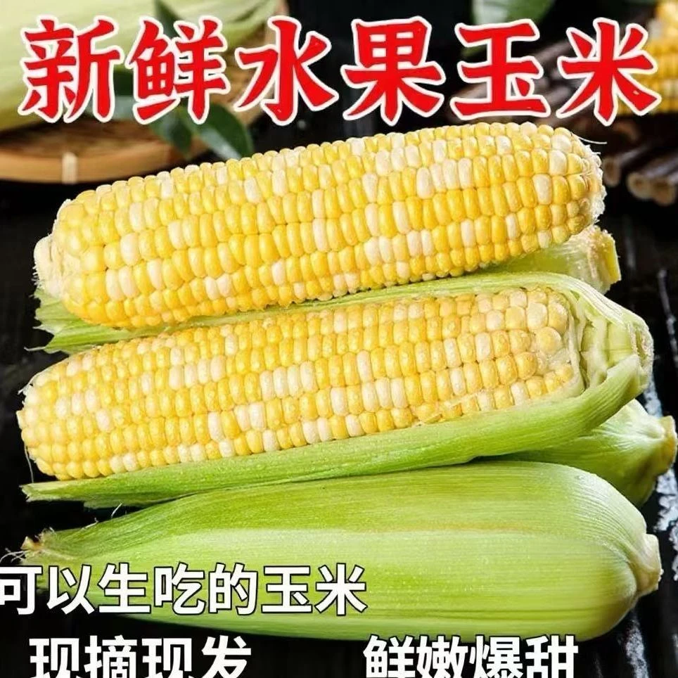 太阳花甜玉米农家新鲜甜玉米颗粒饱满口感脆甜