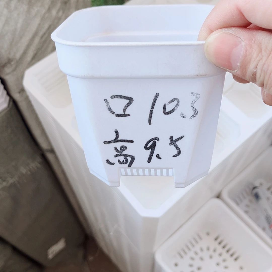 塑料加厚矮胖10方白色盆10个无托