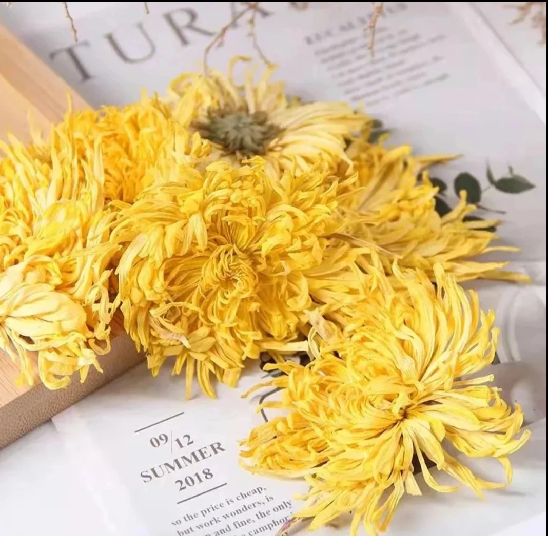 金丝皇菊 集市现收 高端滋补