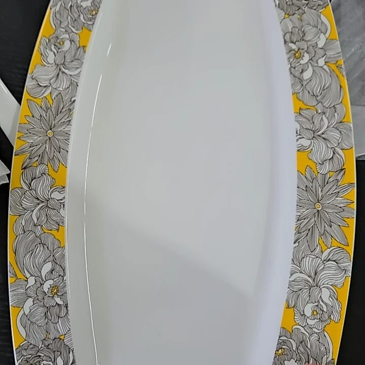 45%以上骨粉骨瓷微瑕鱼盘一个66666666666