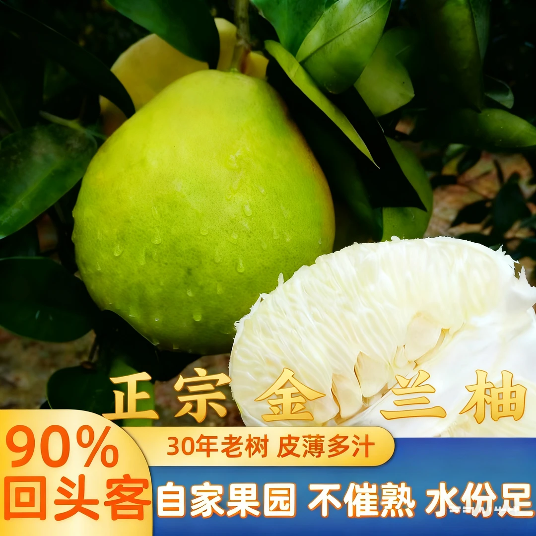 精选正宗江西武功山下安福蚕子柚子金兰柚井冈白心蜜柚水果老树果