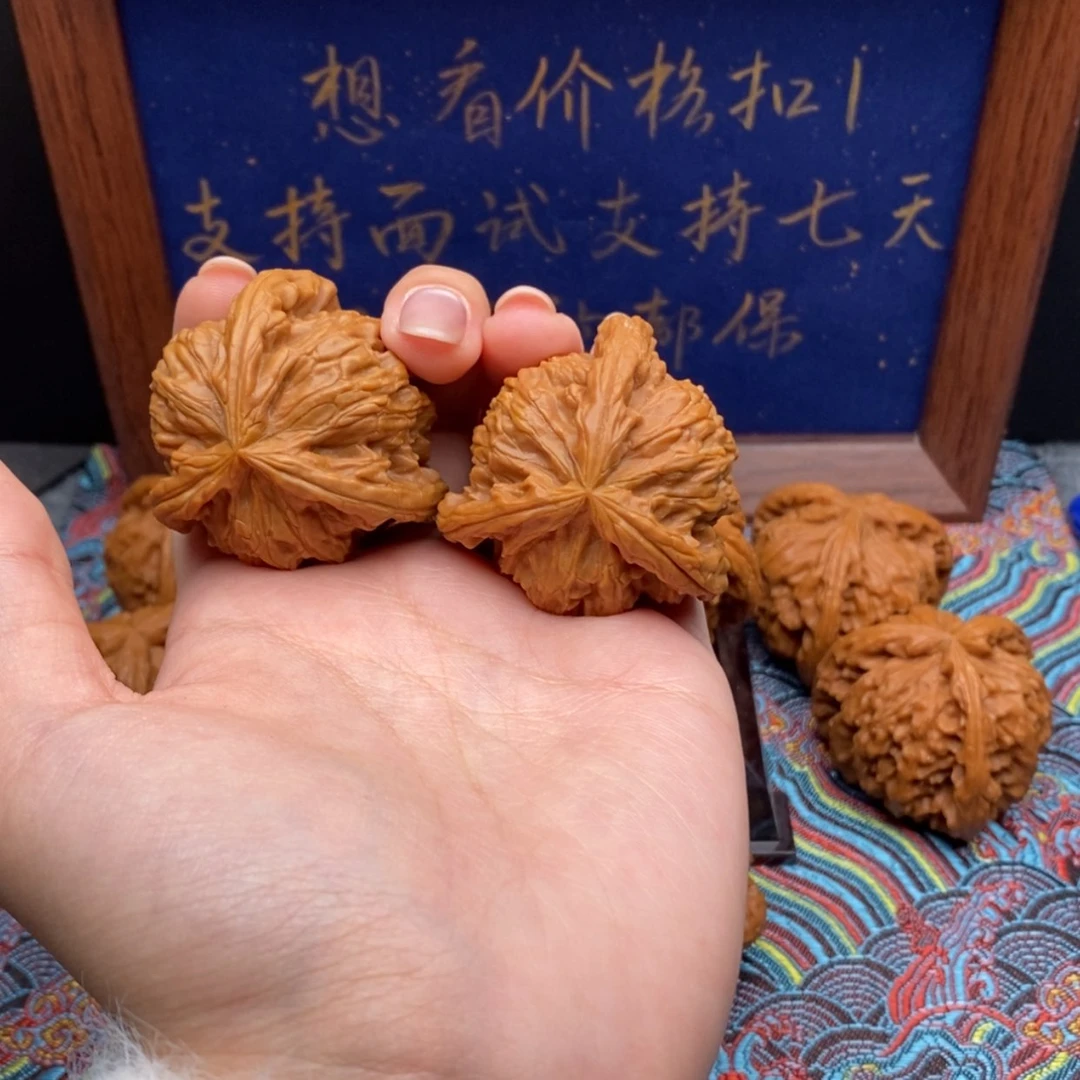 【闪购商品】日***人白狮