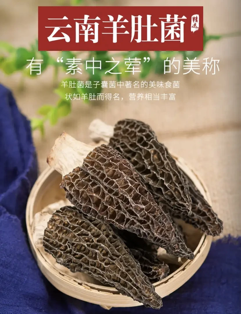 [山货铺]头茬羊肚菌 高山货 肉质肥厚  煲汤鲜货