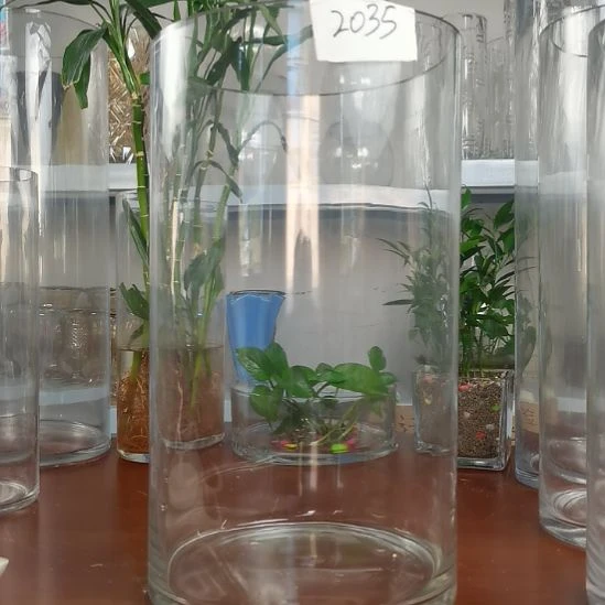 玻璃昌达玻璃直筒高度35口径20