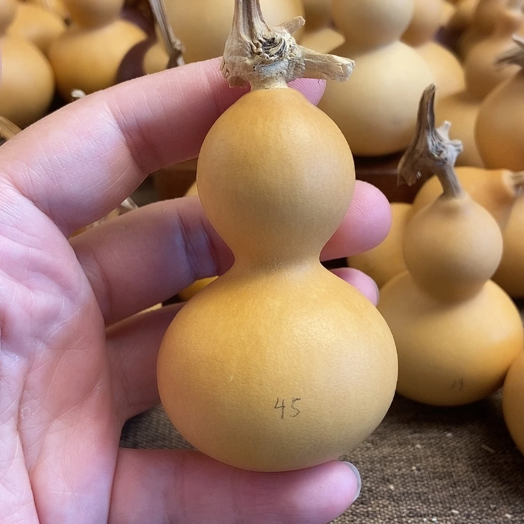 文玩葫芦 完美主义者 慎拍45