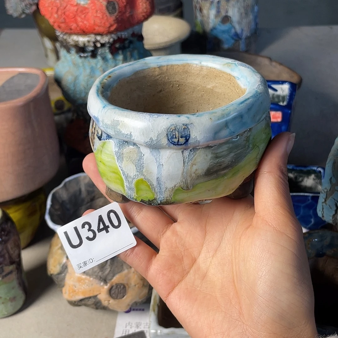 双十一限时福利 默认微次