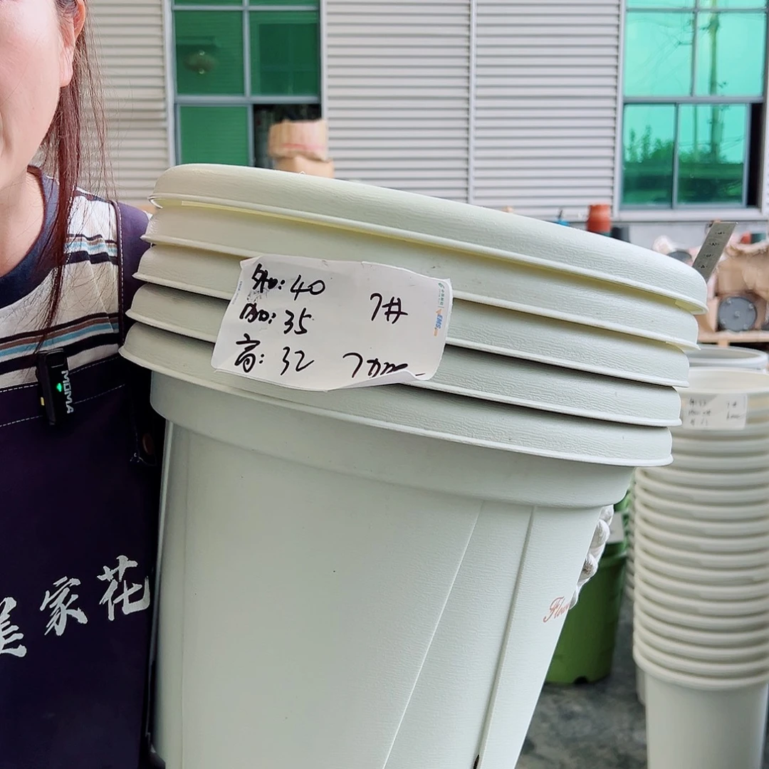 青山盆7#米白5个无托
