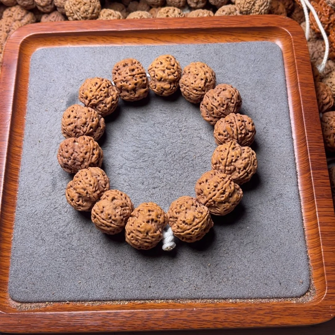 菩提1号金刚菩提飞碟梅花24