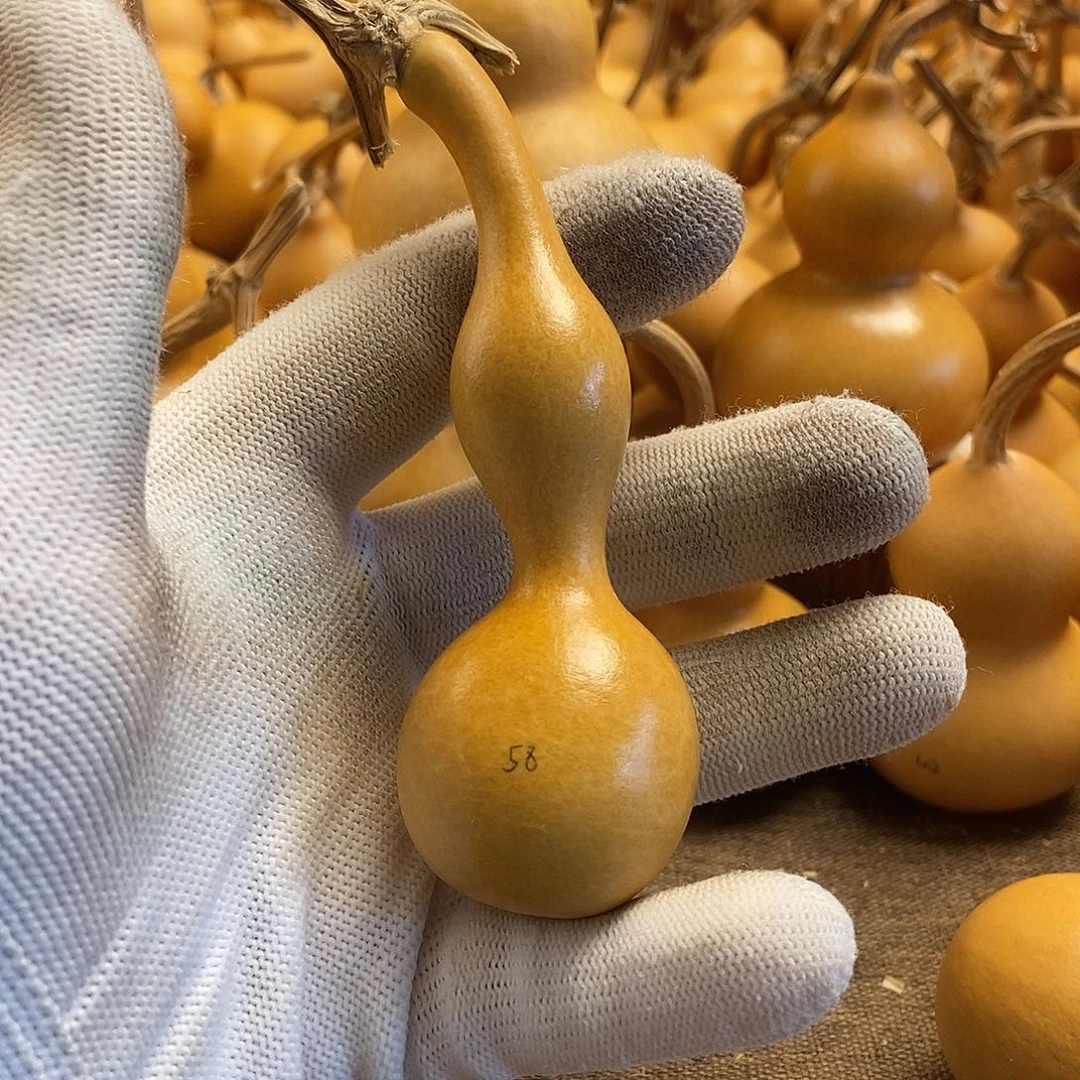 文玩葫芦 完美主义者 慎拍58
