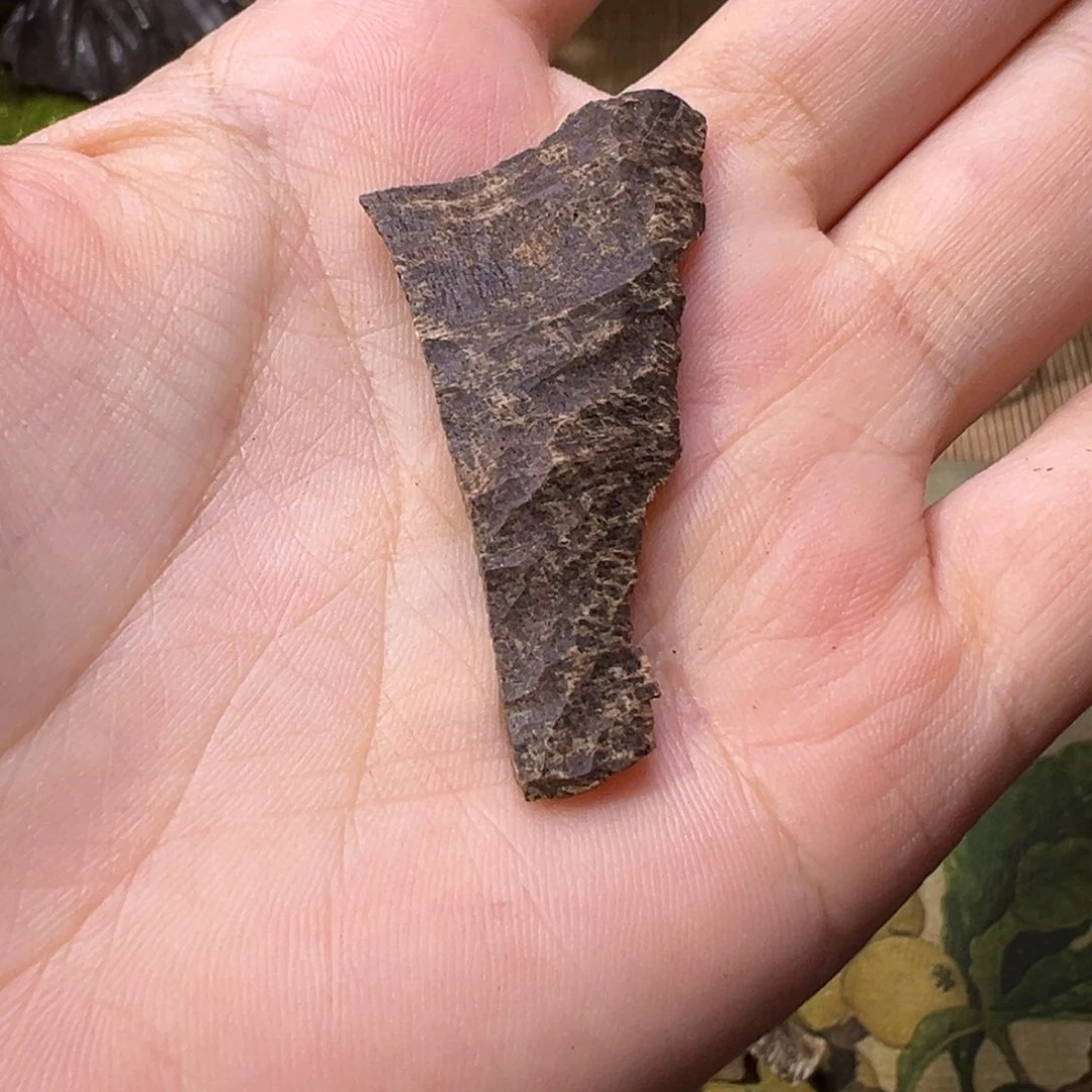 香榧木海南木料尖峰岭沉水鸡母虫漏0.9克