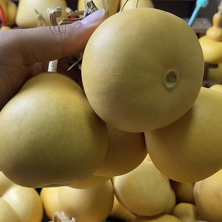 天然葫芦自然生长云朵梨