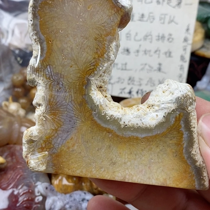 硅化珊瑚（珊瑚玉）未镶嵌颈饰