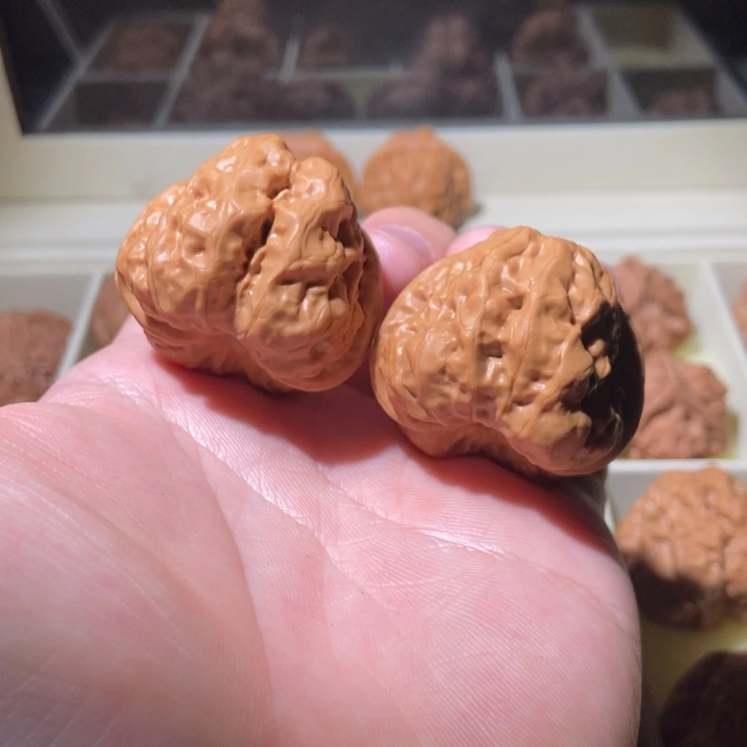 文玩核桃把件?*头40蛤蟆