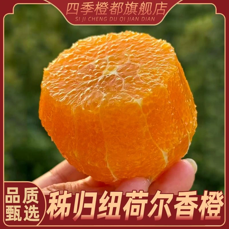 湖北秭归纽荷尔香橙新鲜现摘水果橙子 净重4.5斤/9斤E