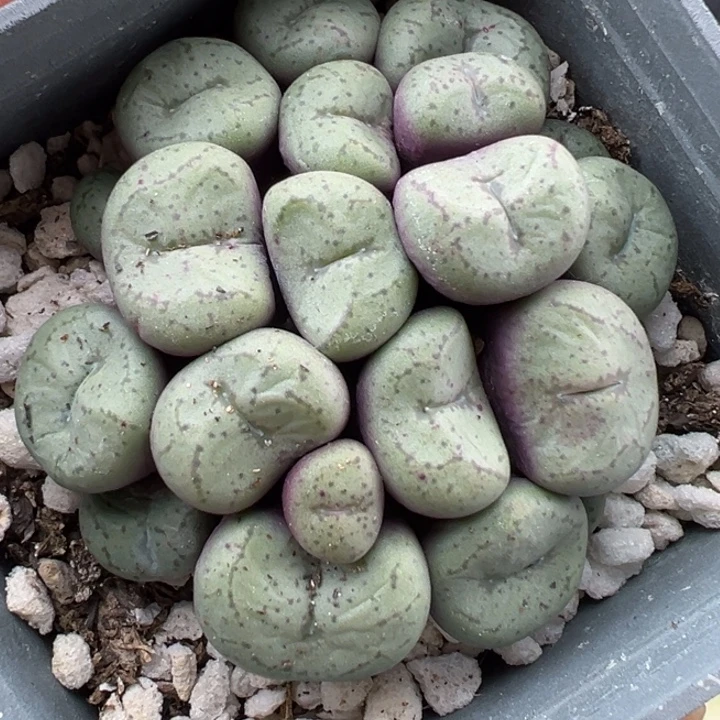 766号11111111111111