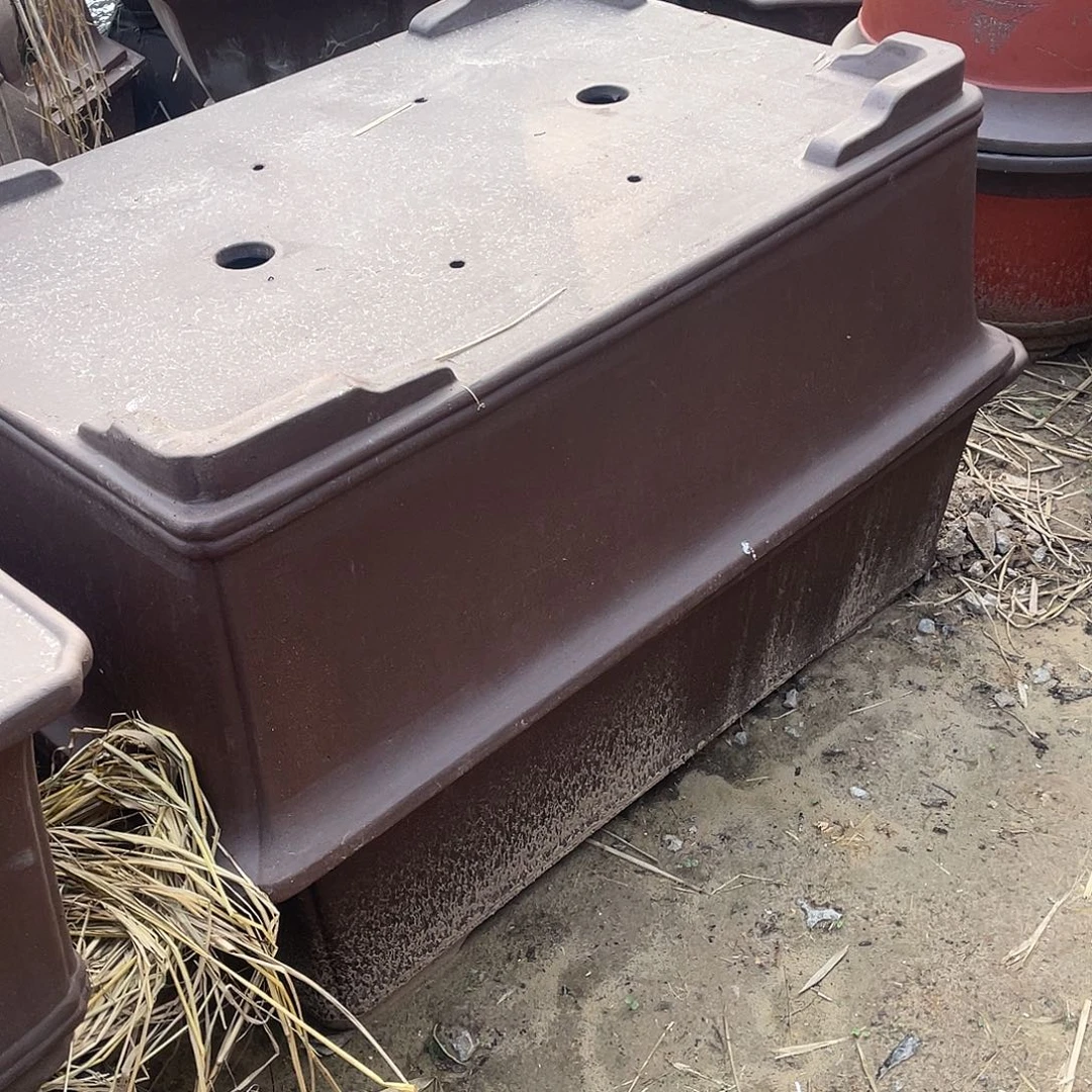 树***术特价处理紫砂一只