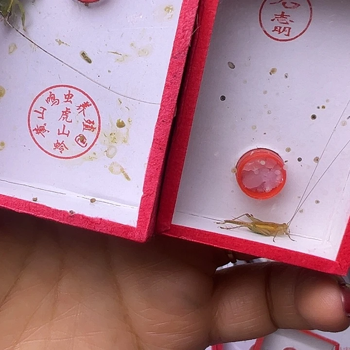 龙***生哈哈哈哈哈哈哈哈哈哈哈哈哈哈哈