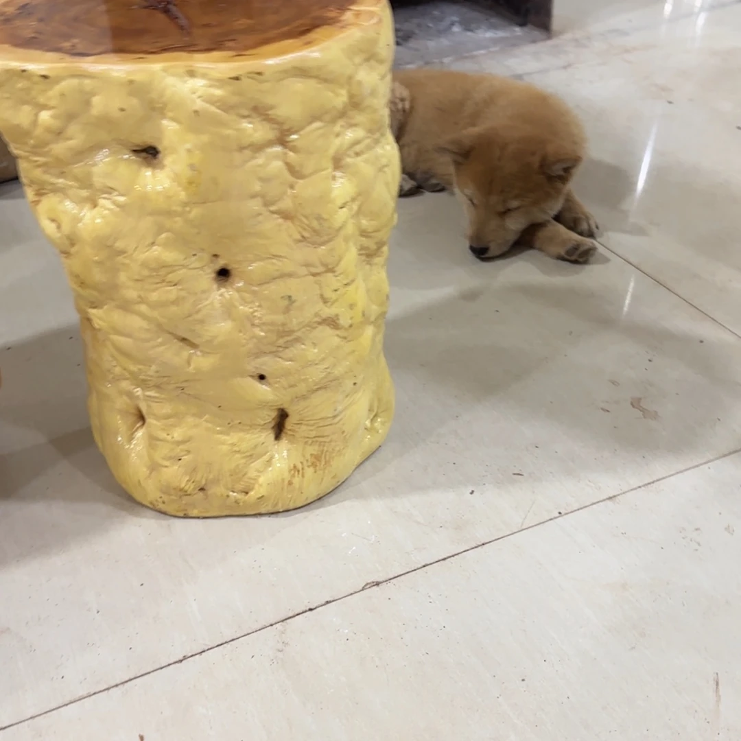 飞***哥龙纹鸡心枣木手工艺品