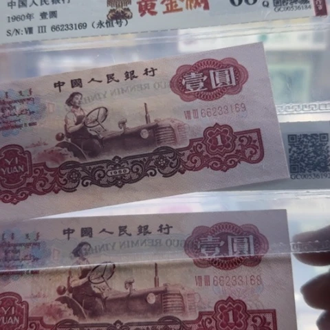 纸三版一元黄金树一张无四七3113