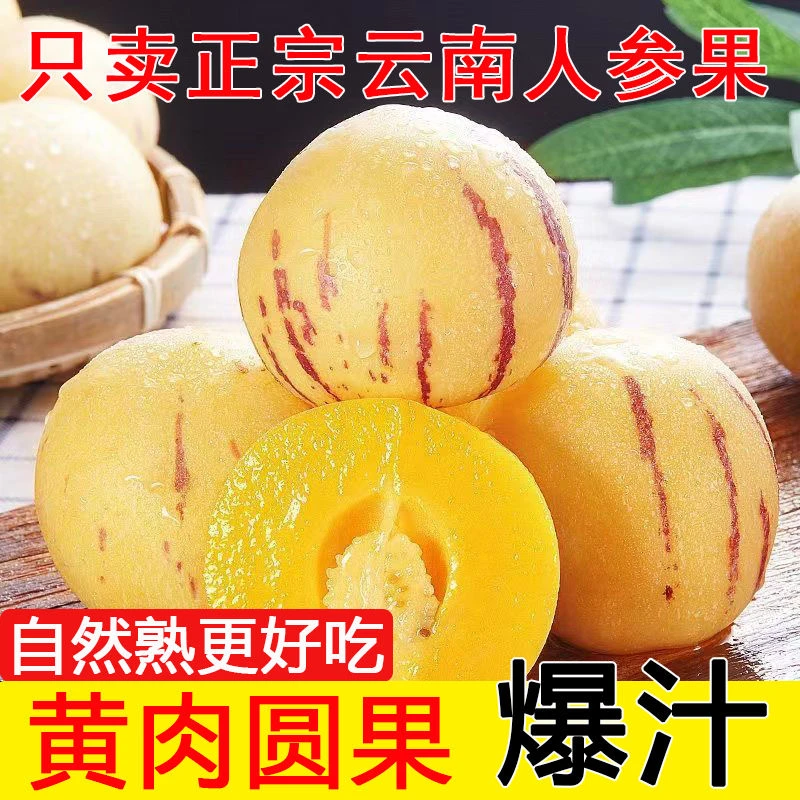 云南石林树上自然成熟清甜多汁当季新鲜树熟人生果