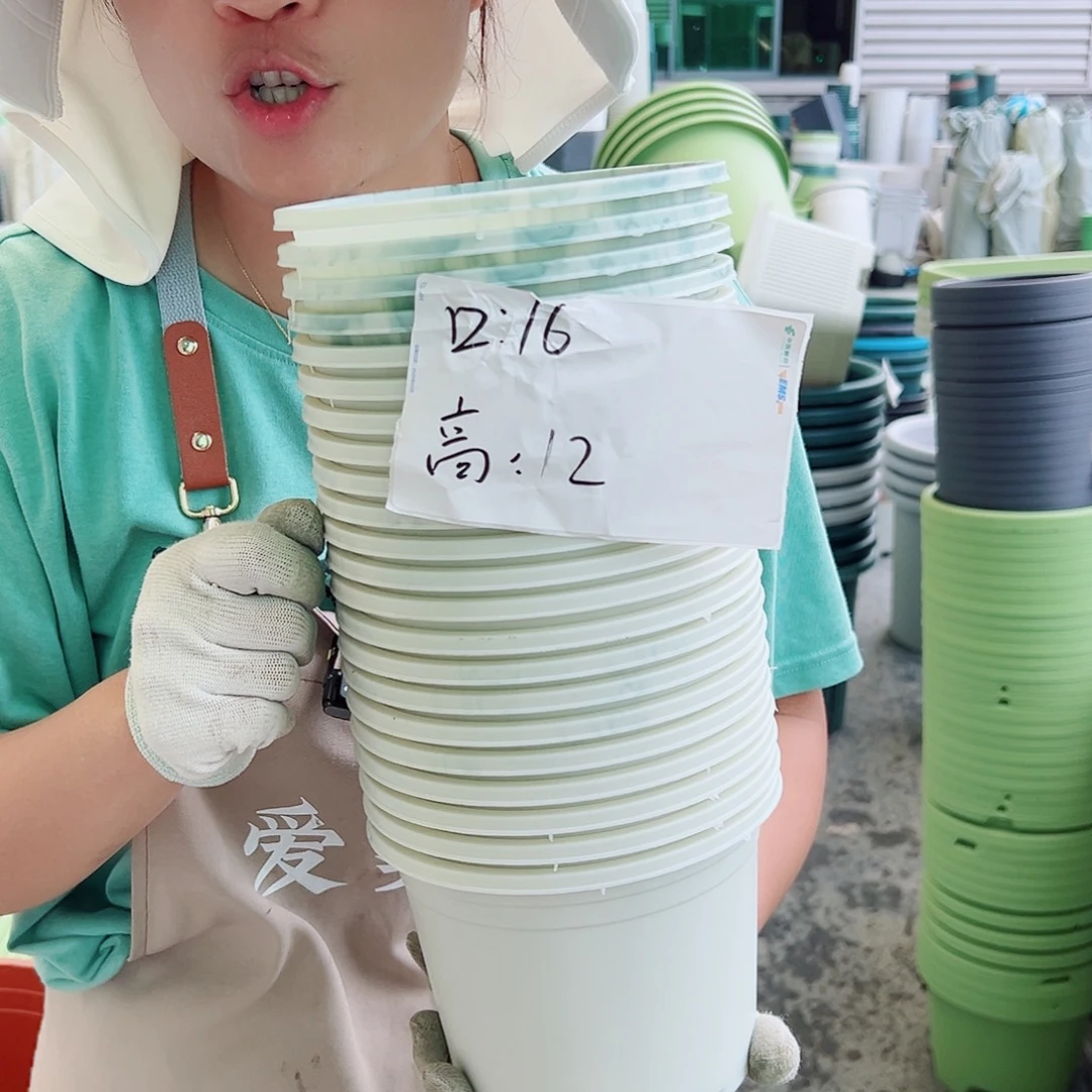 瑕疵矮胖1#米白色20个无托