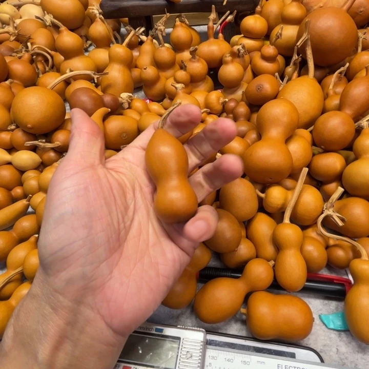 伽*?大鱼海棠的一把中华苯甲葫芦一定一定是这个