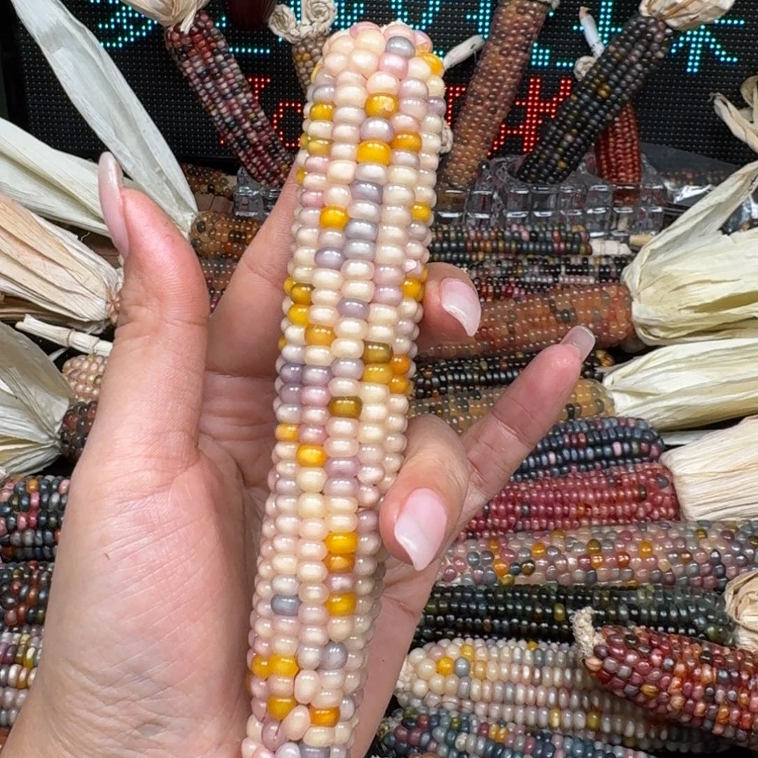 柏香籽/百香籽吊坠白**.