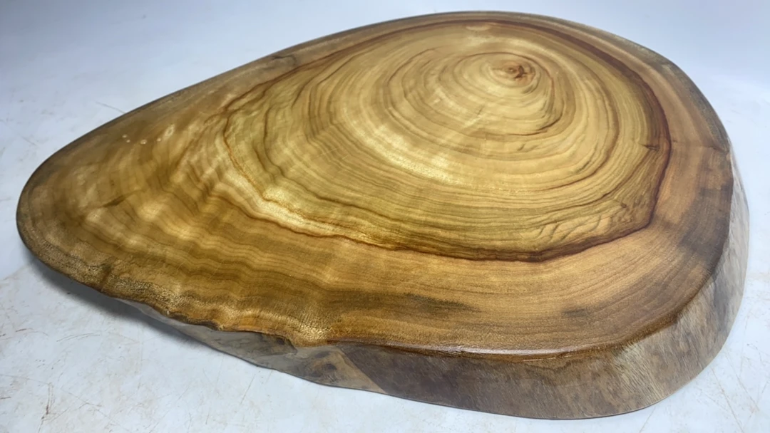 香樟木精品干泡盘直径43×31.5×4厘米，花纹清晰自然香味净化空气