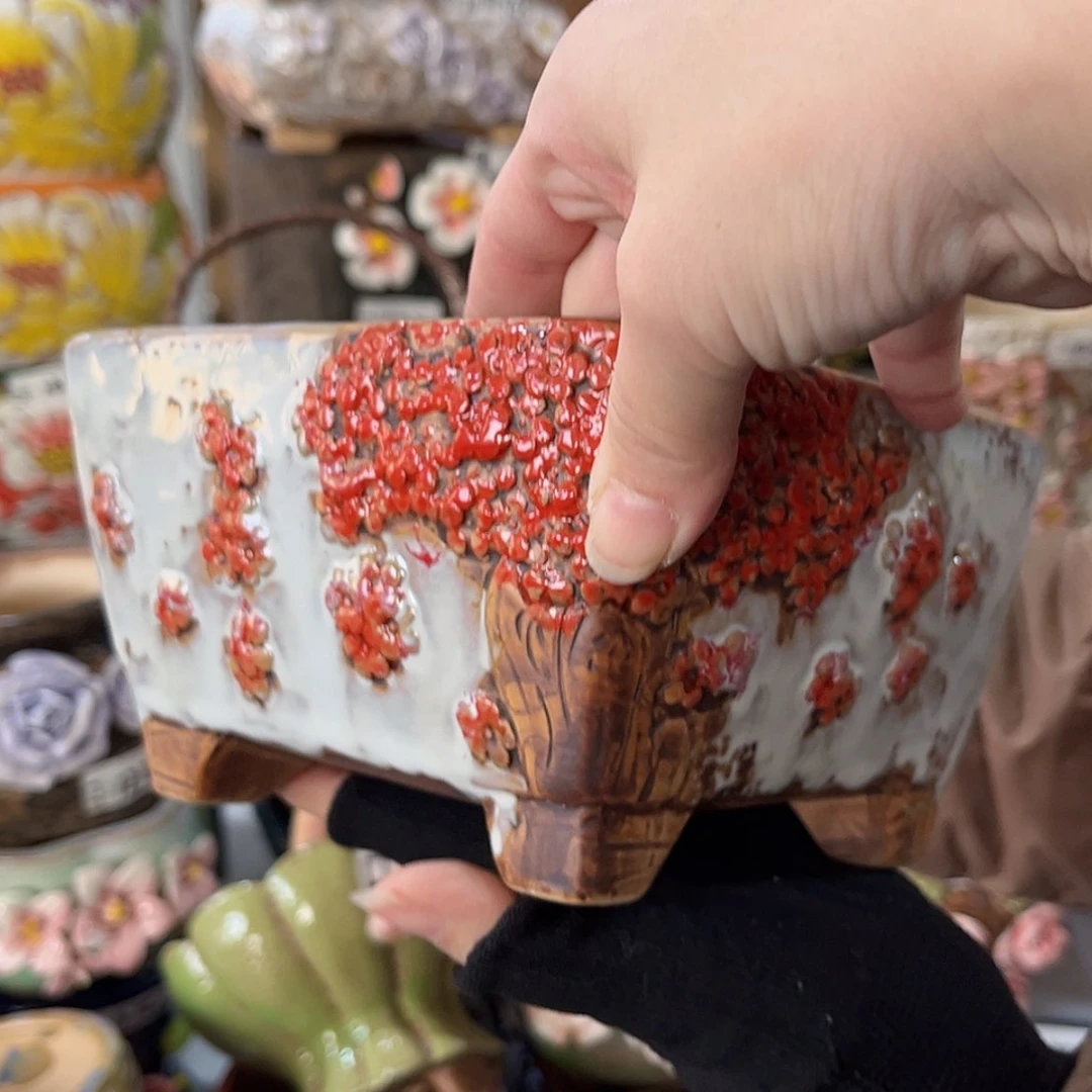 【闪购商品】红陶福利