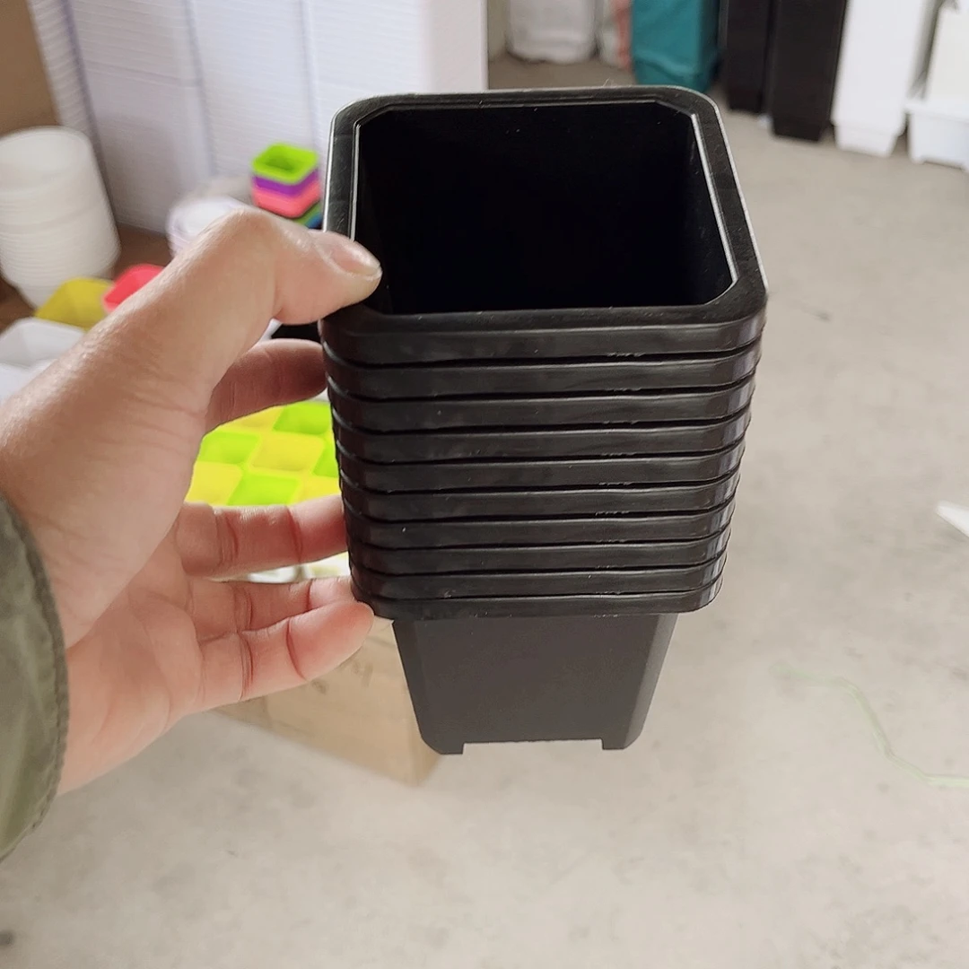 塑料升级款景天10方黑色盆10个无托