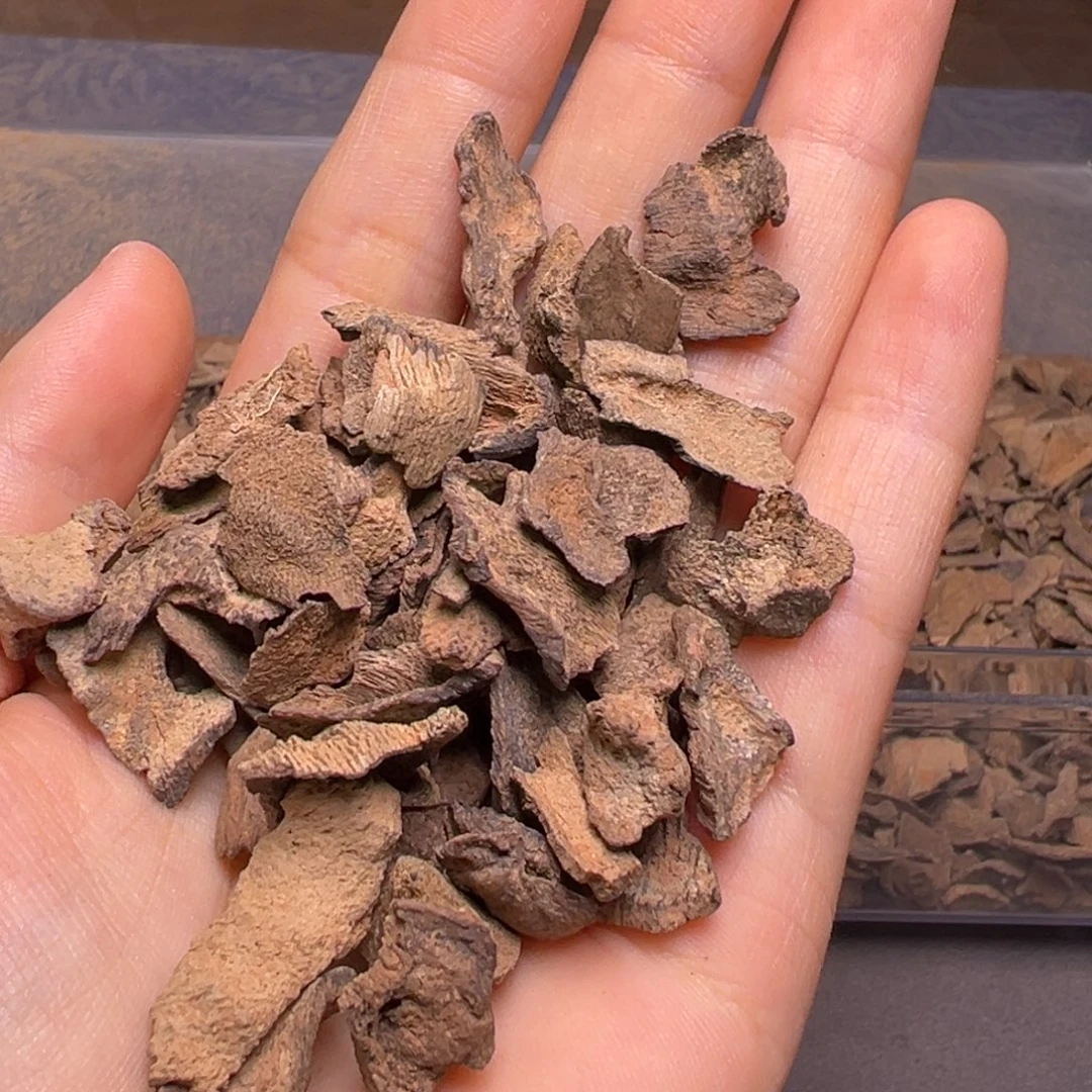 沉香沉香碎屑海南沉水红土香10