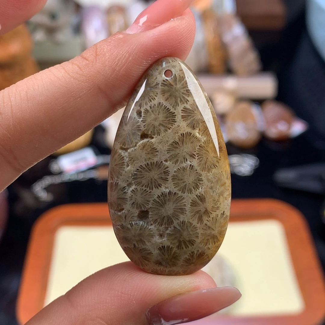 【闪购商品】硅化珊瑚（珊瑚玉）未镶嵌颈饰5号开播福利