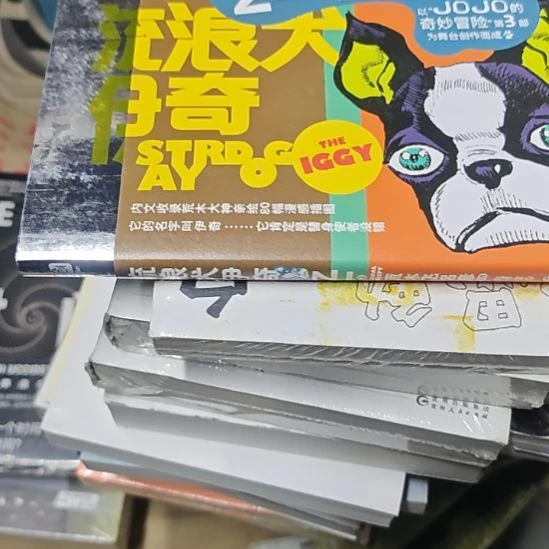 流浪犬伊奇（务必塑封）