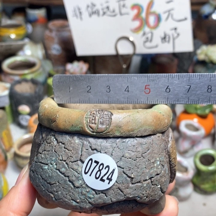 拍3送一个小礼物花盆