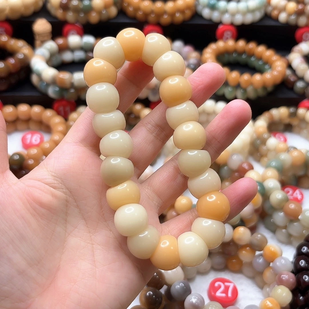 手串菩提根/象牙果大肠