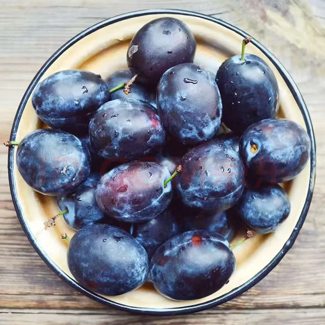 【顺丰京东包邮】正宗蓝蜜大西梅孕妇水果新鲜水果当季西梅