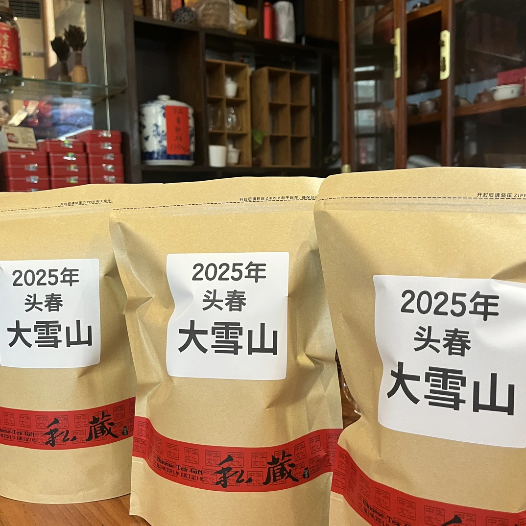 云南普洱茶茶2025年头春大雪山生散茶