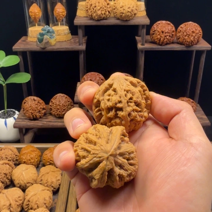 文玩核桃把件粗筋（44.5）