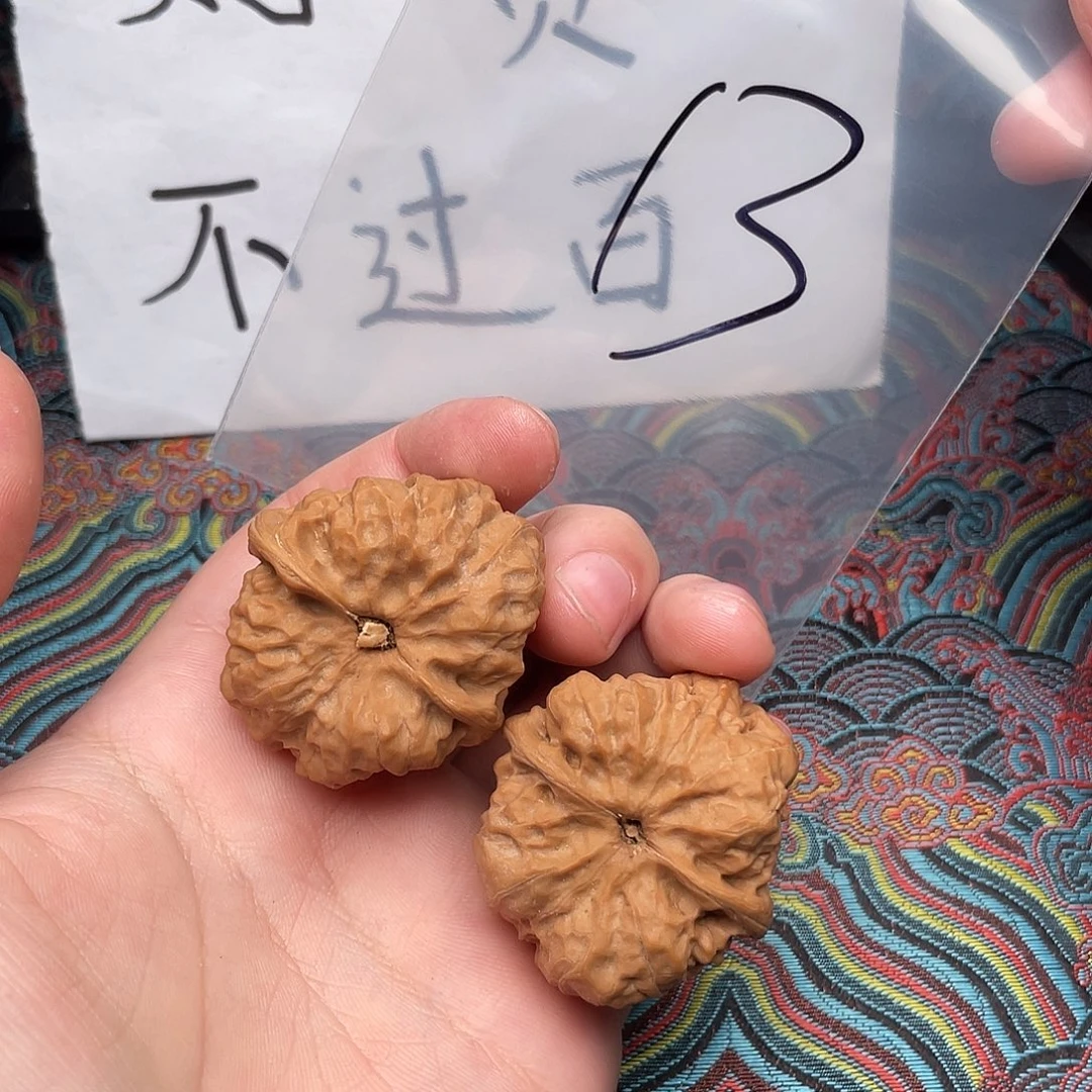 核桃哈哈哈哈哈哈哈哈哈哈哈