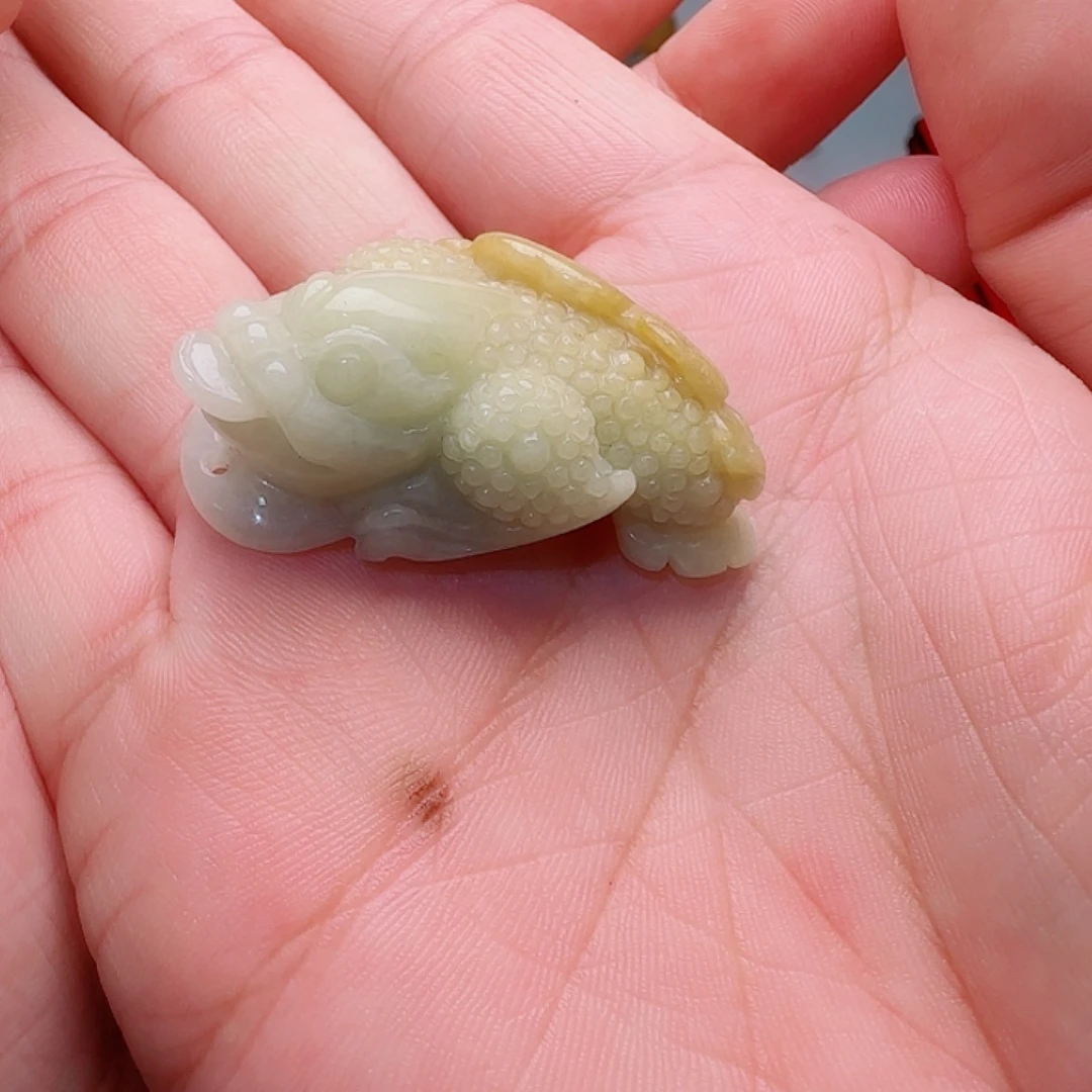 翡翠未镶嵌颈饰金蟾