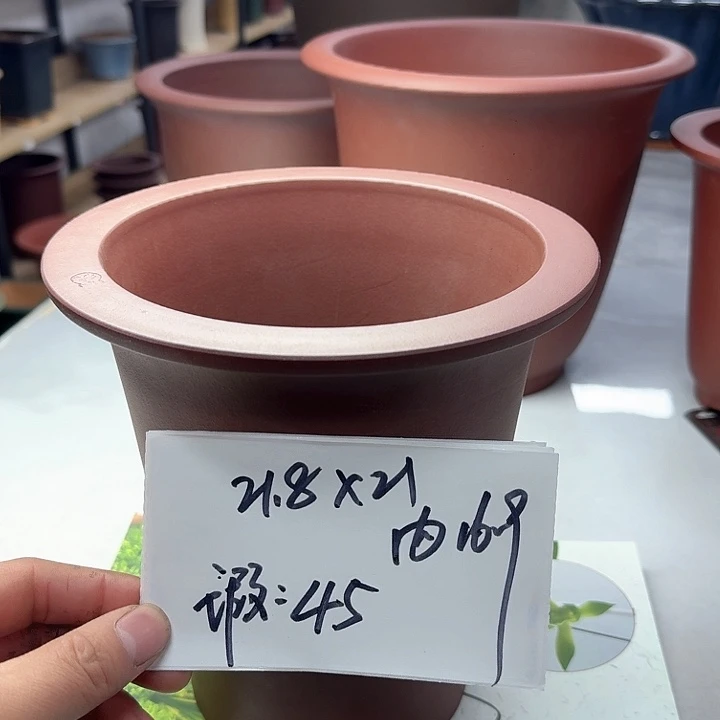 紫砂22222222222222222