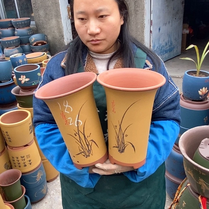 紫砂花盆盆栽花卉苗木种植